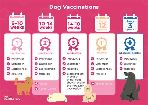 pet vaccinations mcdonough|Wellness & Vaccinations .